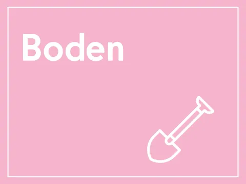 Boden_neu