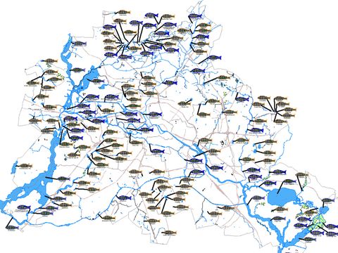 Fischfauna