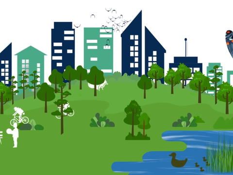 Biodiversity in Cities