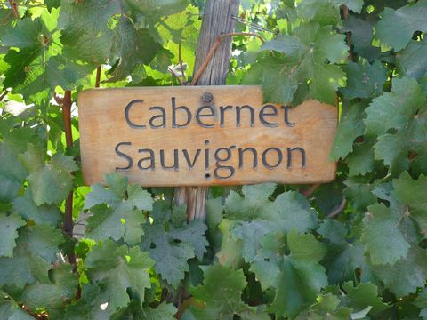 Holzschild mit Weinlaub