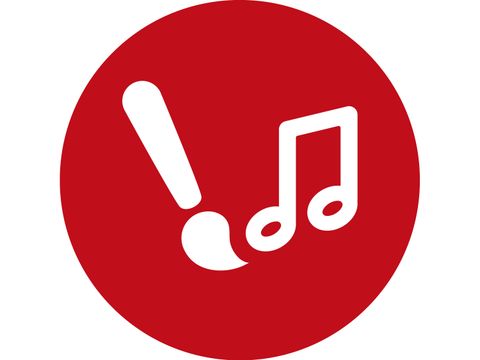 DVV Logo Kultur