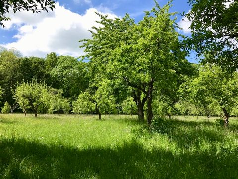 Obstbaumwiese