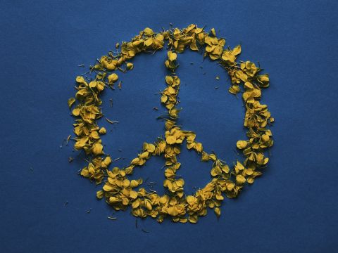 Ein gelbes Friedenszeichen aus gelben Blüten auf blauem Hintergrund