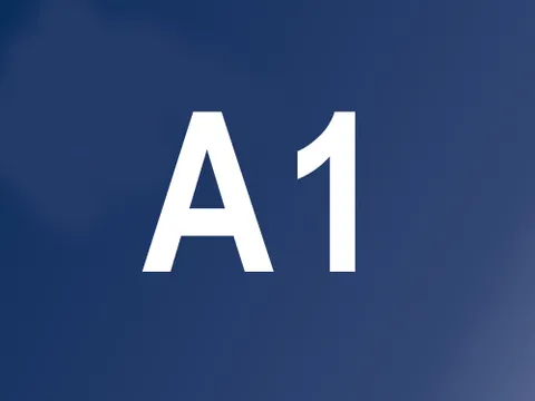 A1