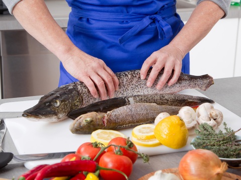Fische