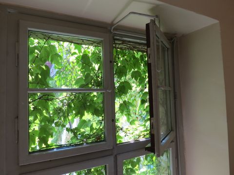 Fenster der vhs Mitte