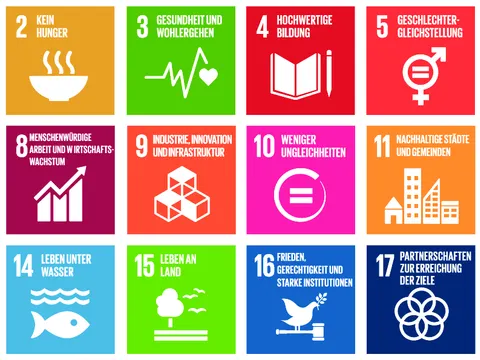 Grafik mit 15 farbigen Symbolen der UN-Nachhaltigkeitsziele (SDG)