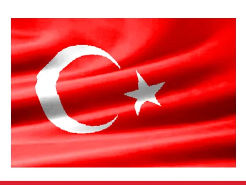 Flagge Türkei