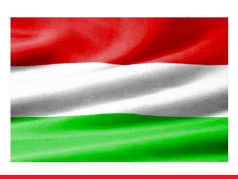 Flagge Ungarn