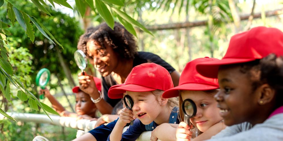 Kinder entdecken enthusiastisch die Natur.