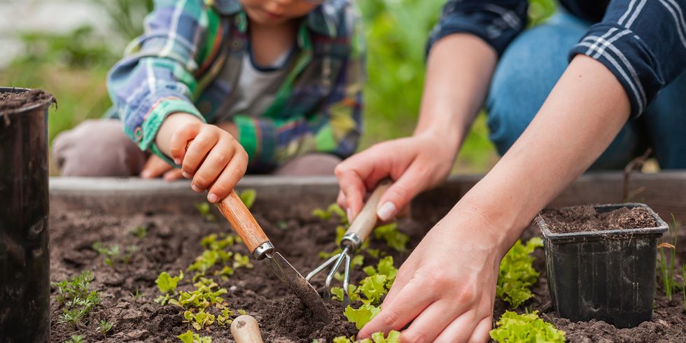 Kind und Mutter bei der Gartenarbeit im Gemüsegarten im Hinterhof