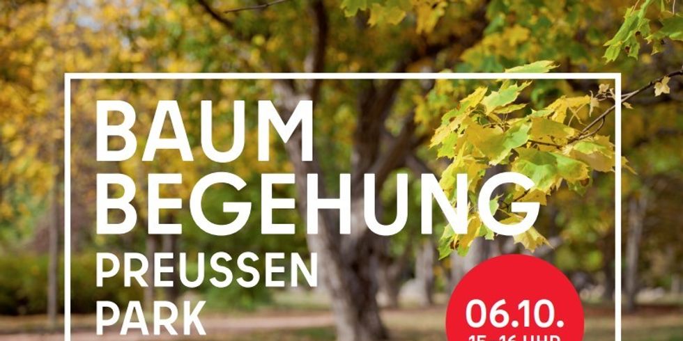 Baumbegehung im Preußenpark.