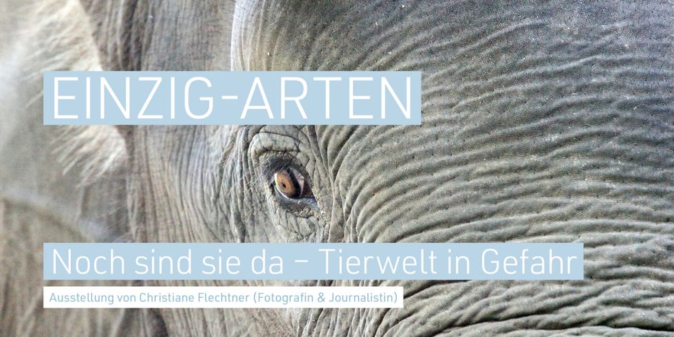 Fotoausstellung „EINZIG-ARTEN“ wird digital eröffnet