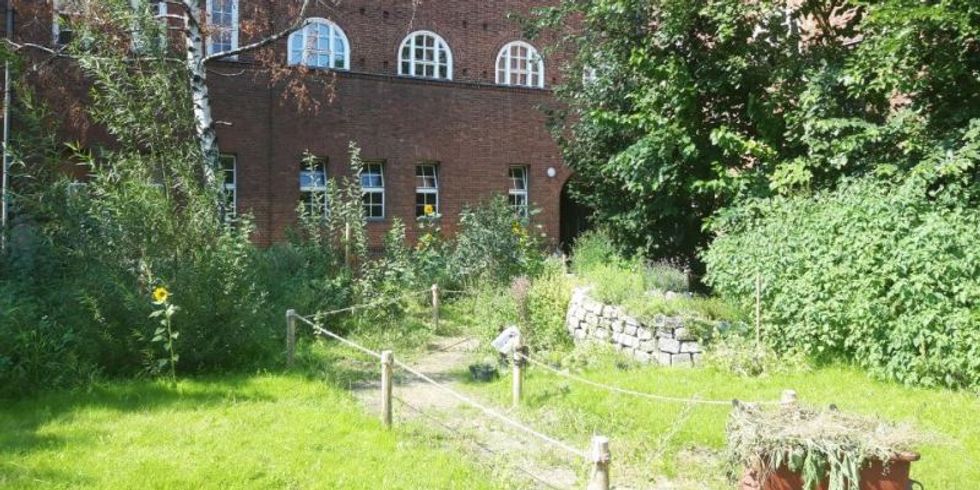 Ein Teil des Schulgartens des Gottfried-Keller-Gymnasiums