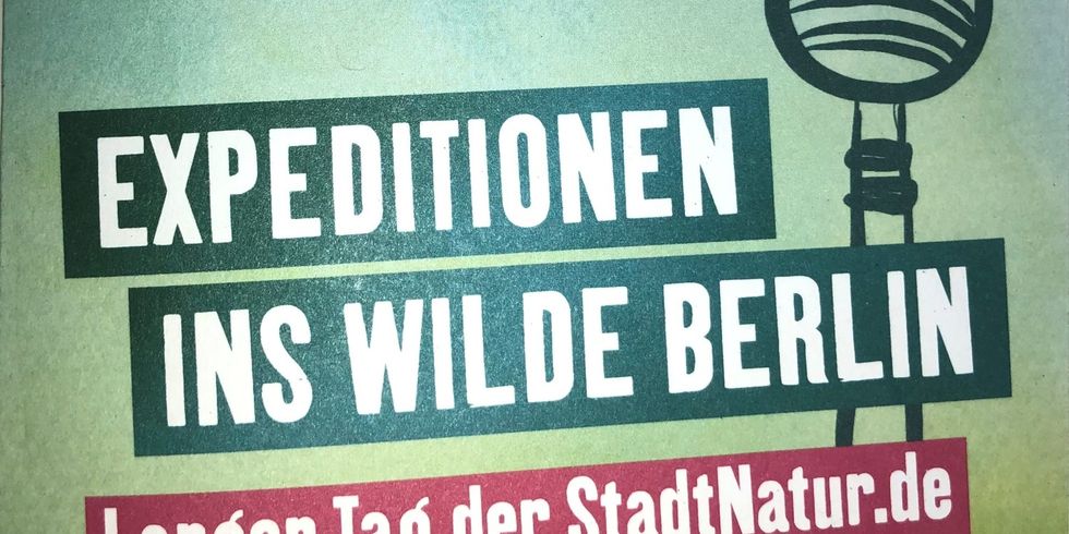 Flyerausschnitt Langer Tag der StadtNatur