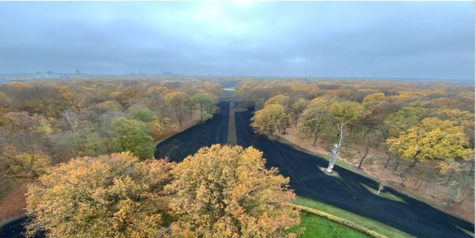 Schwammstadt Jungfernheide