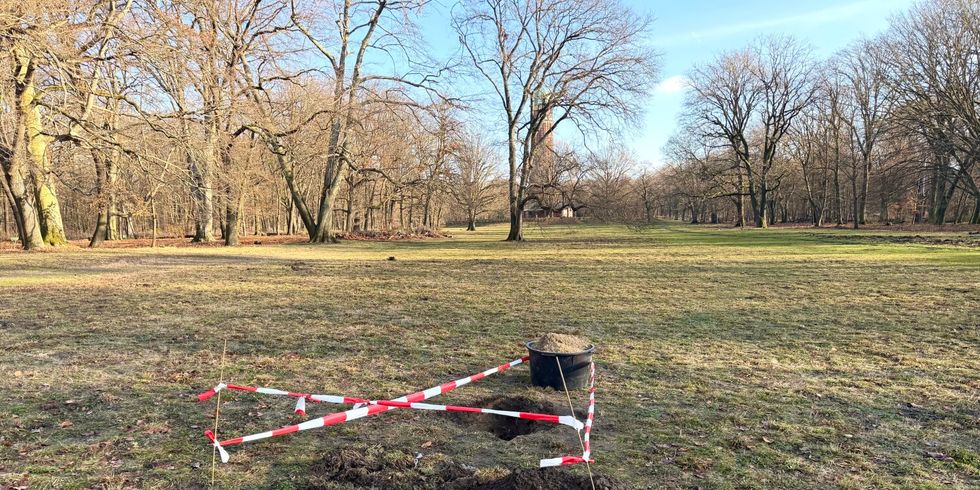 Jungfernheide Bodenproben