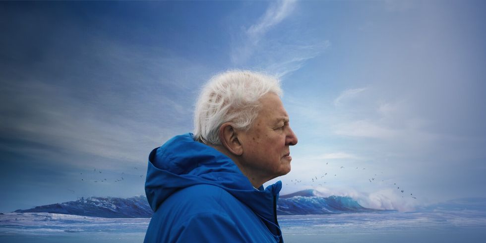 Foto aus dem Dokumentarfilm "Ocean with David Attenborough“