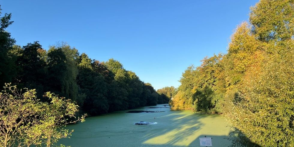 Fennsee
