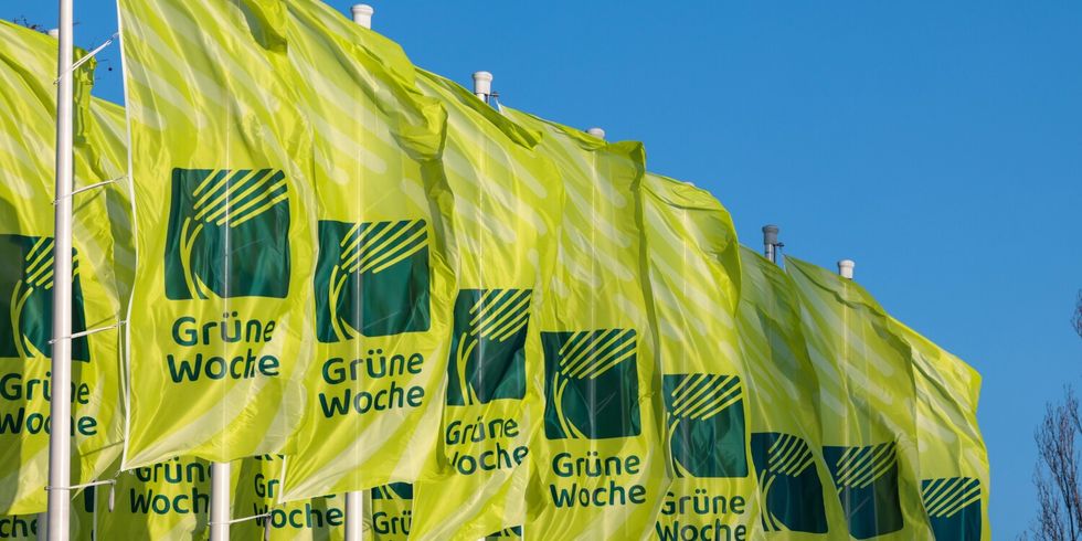 Wehende Flaggen der Grünen Woche