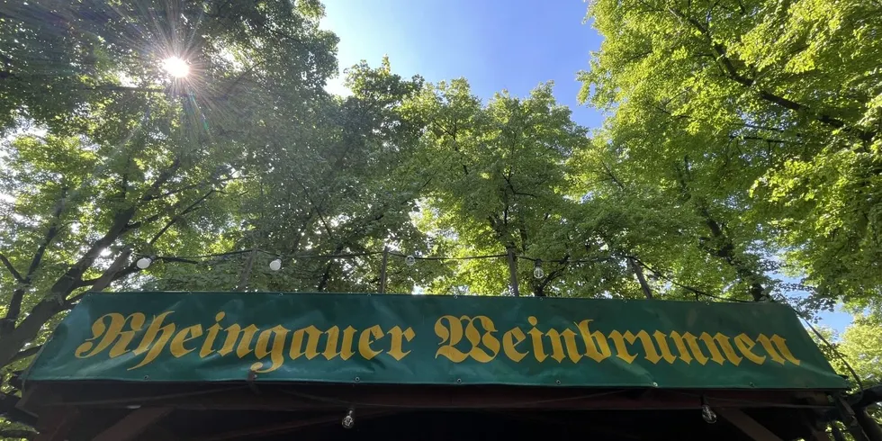 Rheingauer Weinbrunnen