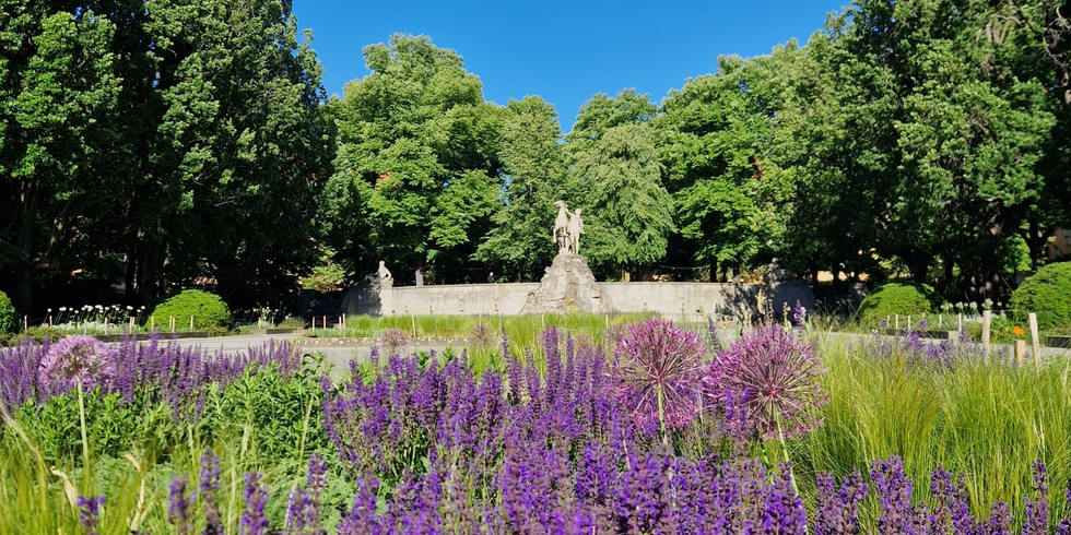 Rüdesheimer Platz im Sommer, Blick von unten über den Platz in Richtung Plateau. Grüne Bäume, blauer Himmel, im Vordergrund blühende lilafarbene Stauden.