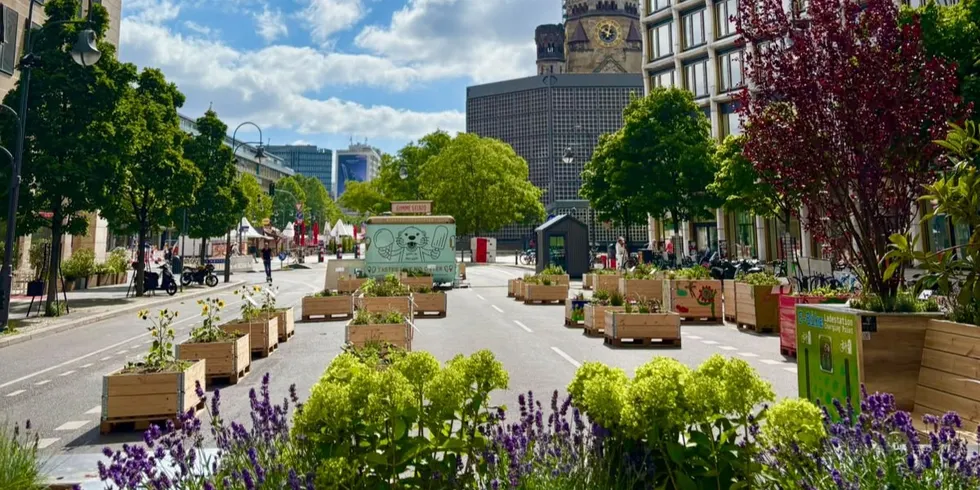 Urban Gardening am Breitscheidplatz auf der Kantstraße. Im Hintergrund ist der Breitscheidpplatz mit der Gedächtniskirche noch zu erkennen.