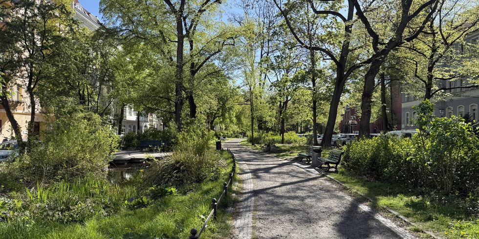 Wilhelmsaue in Wilmersdorf zwischen Blissestraße und Mehlitzstraße