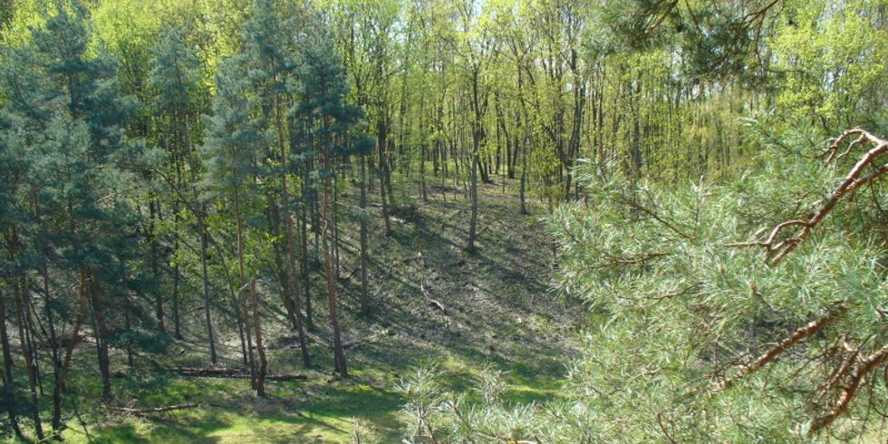 Blick in die Murellenschlucht