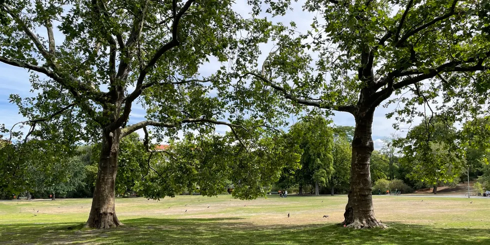 Preußenpark