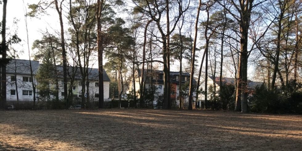 Fläche der ehemaligen Revierunterkunft im Messelpark nach der Einsaat