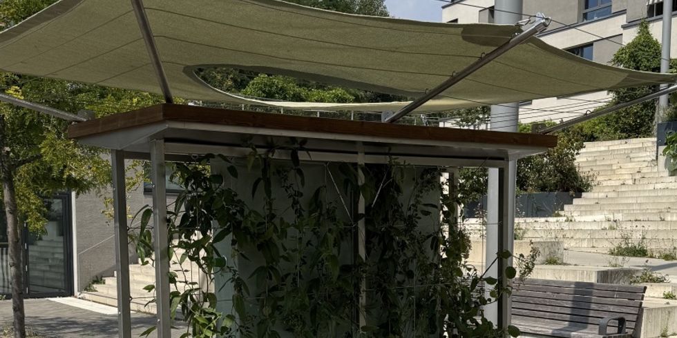 Mobiler Garten an der Yorckstraße