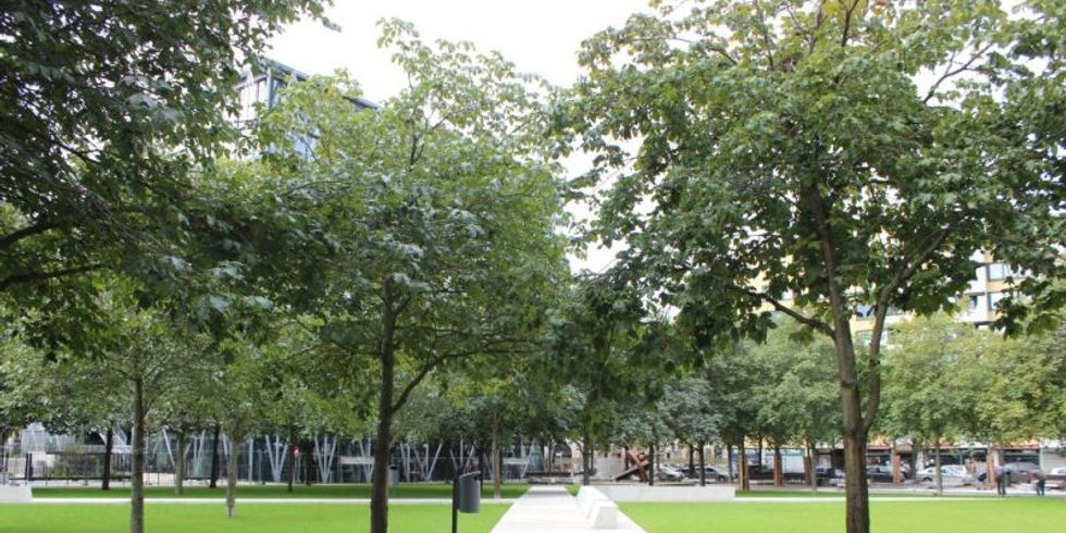 Besselpark Besselbahn