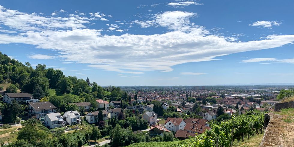 Blick von den Weinbergen auf Heppenheim.