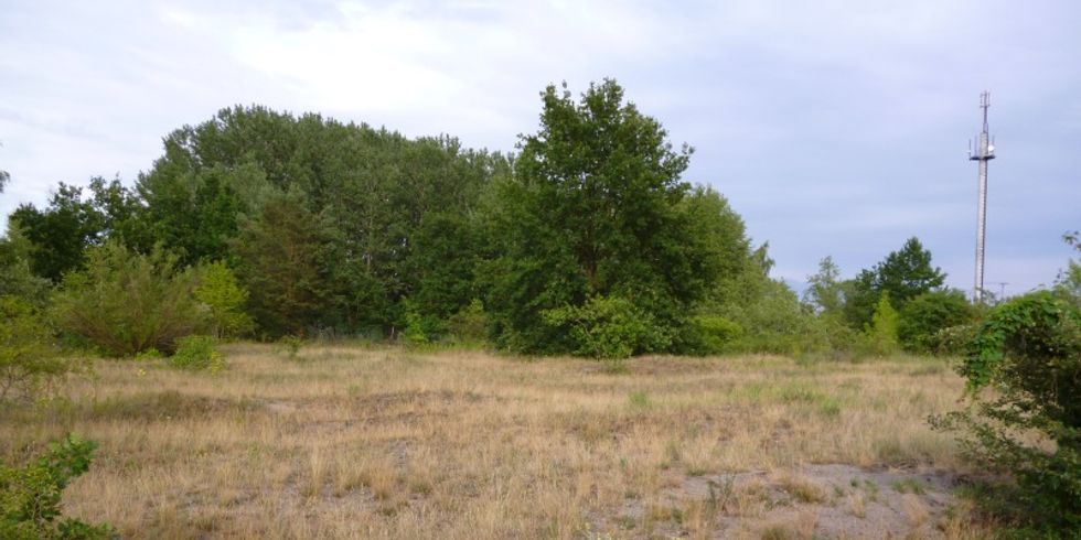 Biesenhorster Sand