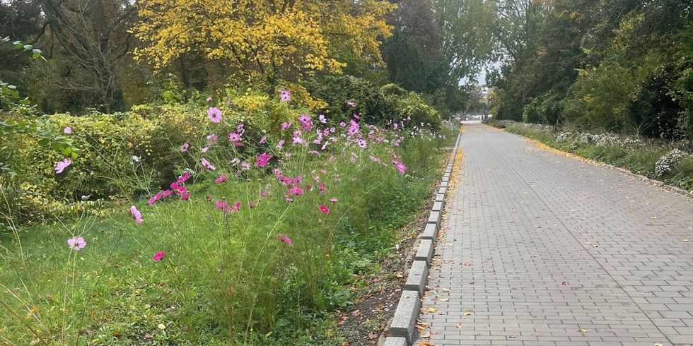 Entsiegelte Kanalstraße Zentralfriedhof Friedrichsfelde