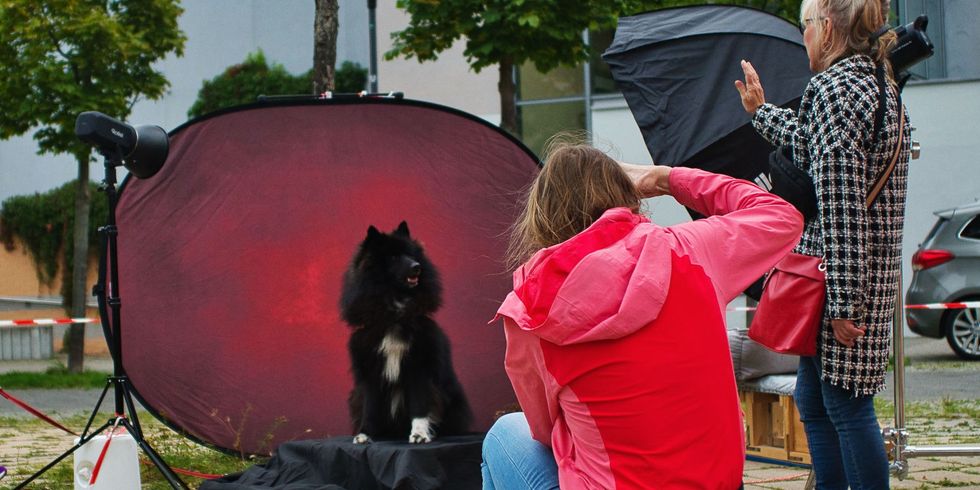 Impressionen von der Wau-Wow-Veranstaltung als Teil von Fififs Platte