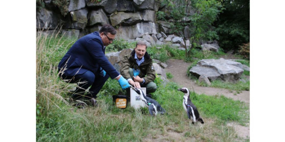 Michael Grunst füttert zusammen mit Dr. Andreas Knieriem (Tierparkdirektor) eines seiner Patentiere