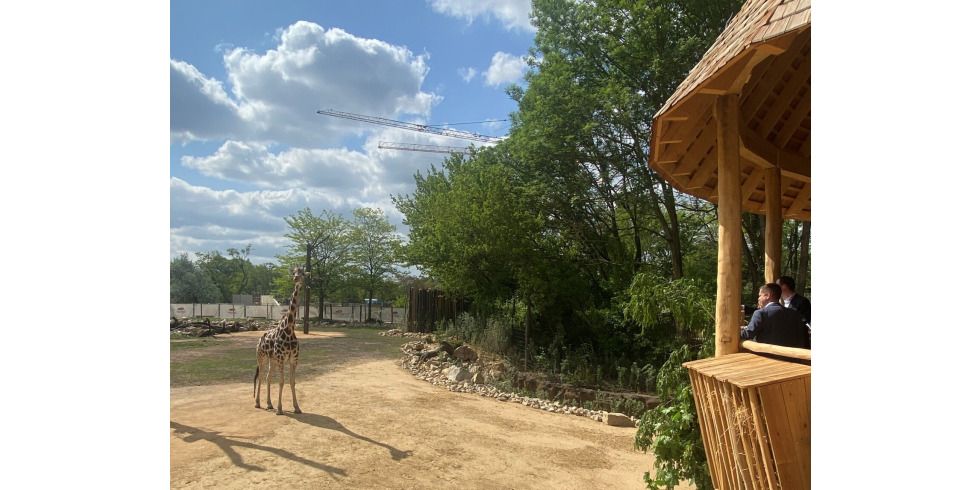 2025-07-01-pm-glueckwuensche-zum-70-geburtstag-an-den-tierpark-berlin_eroeffnung-savannenlandschaft-mit-bezirksbuergermeister-martin-schaefer-ba-lichtenberg.jpg