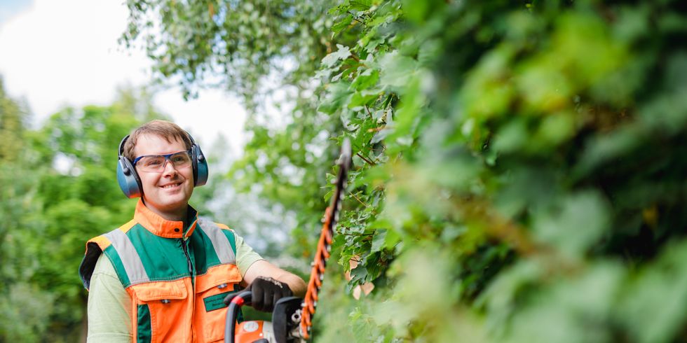 Junger Gärtner schneidet eine Hecke