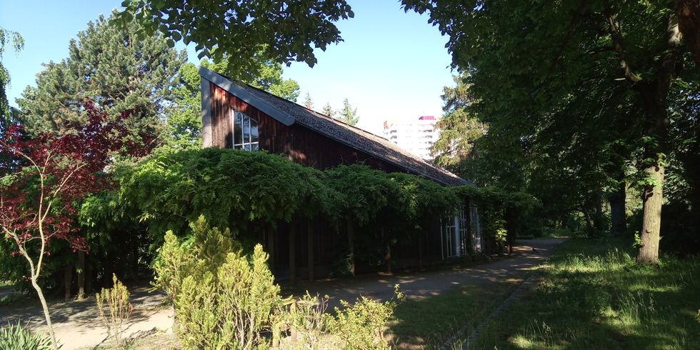 Friedhof Vll