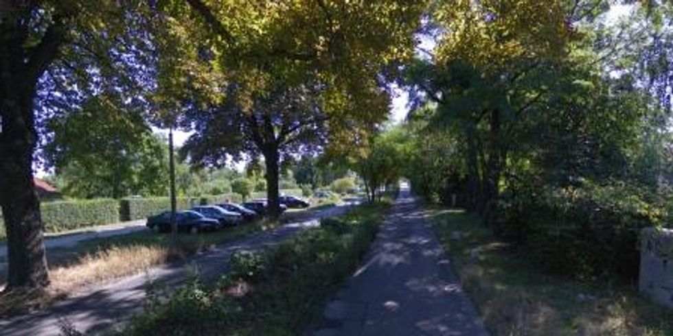 Blick in die Kastanienallee