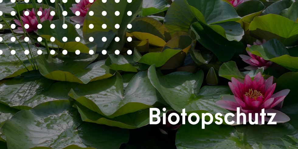Biotopschutz_2
