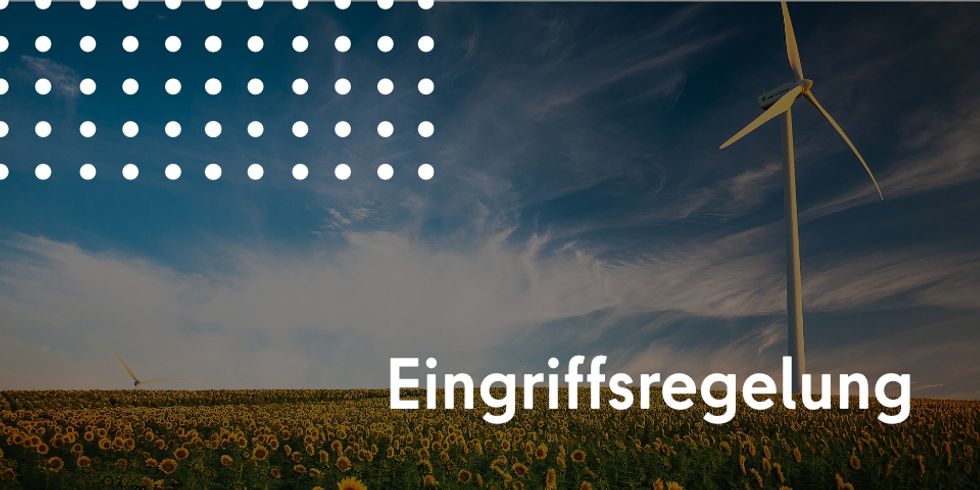 Eingriffsregelung