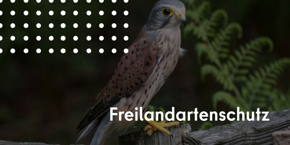 freilandartenschutz_2