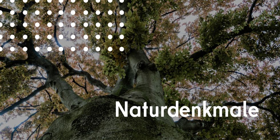 Naturdenkmale