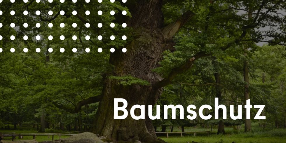 Baumschutz