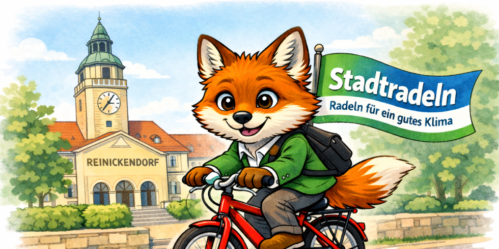 Fuchs auf einem Fahrrad