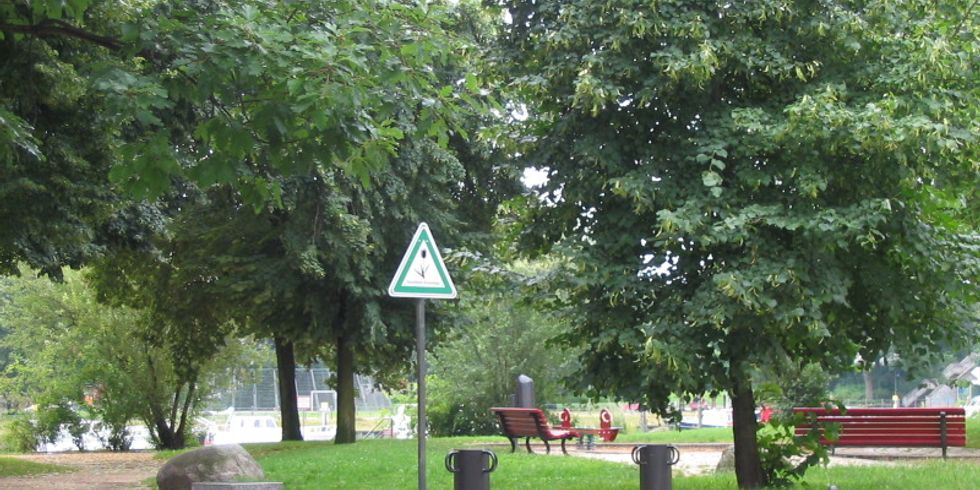 Lindenufer KS