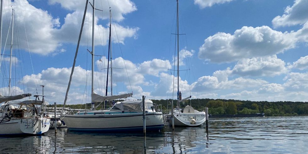 Havelufer in Gatow mit Segelbooten